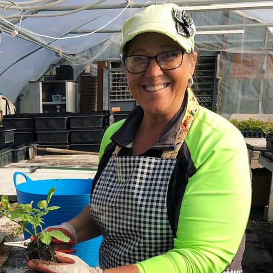 Sun Container Gardening with Kathy Hoob
