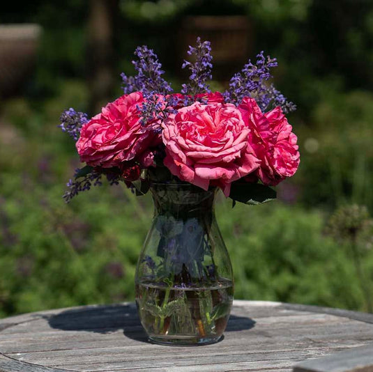 Loves Me, Loves Me Not