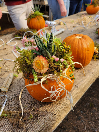 Creative Pumpkin Class with Kathy Hoob