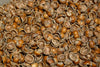 Hazelnut Shells